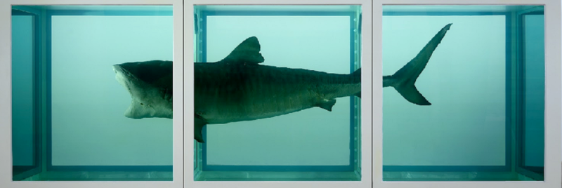 Immagine:Hirst.png