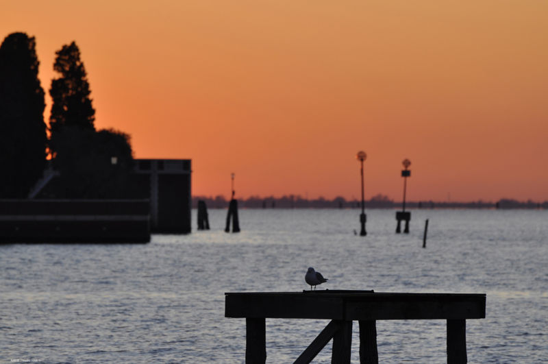 Immagine:Venezia tramonto acqua alta panorama2.JPG
